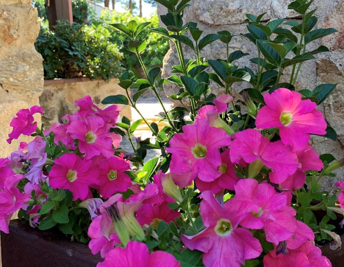 La Casita de las Hortensias Ortigosa del Monte Exterior foto